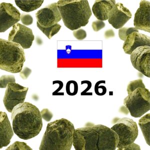 Styrian Savinjski Golding